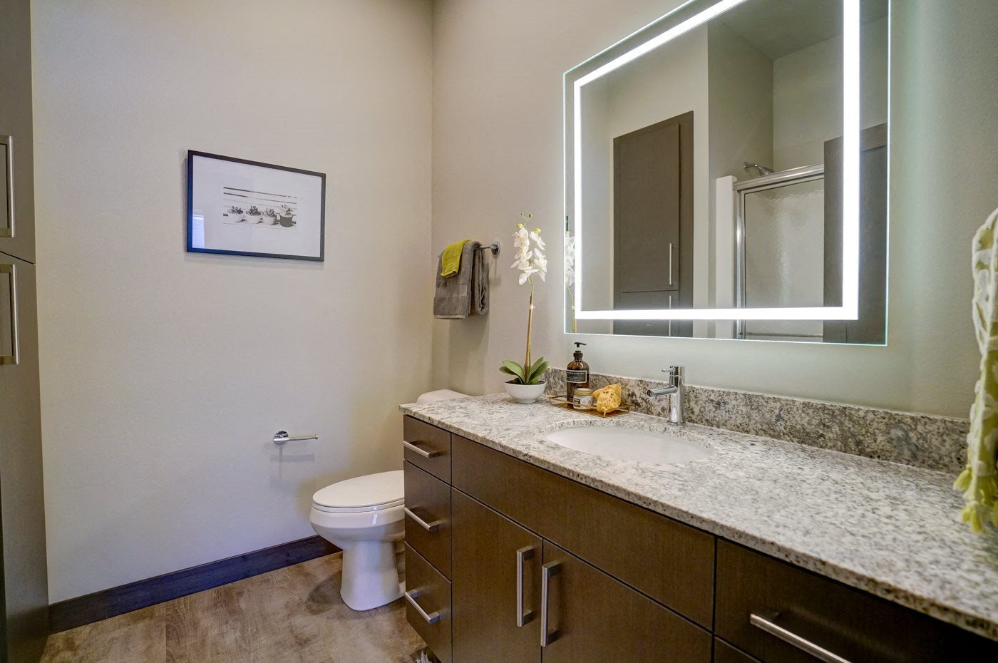 Gallery Photo 52